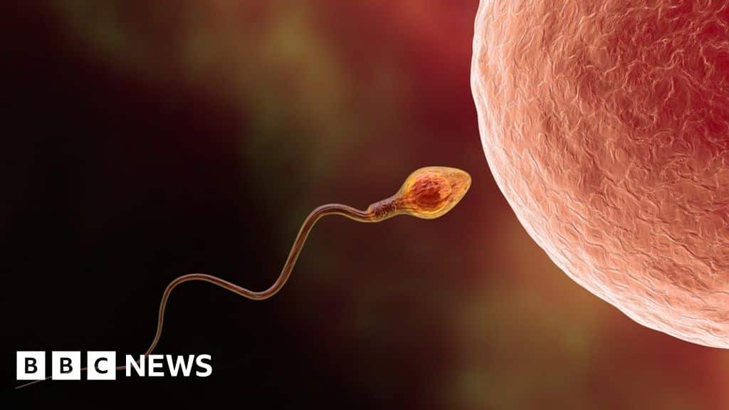 AI could become a powerful tool in treating male infertility - BBC News