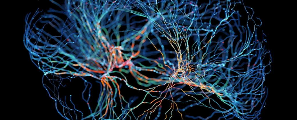 Scientists have come up with a way to know whether ChatGPT is aware of itself or not