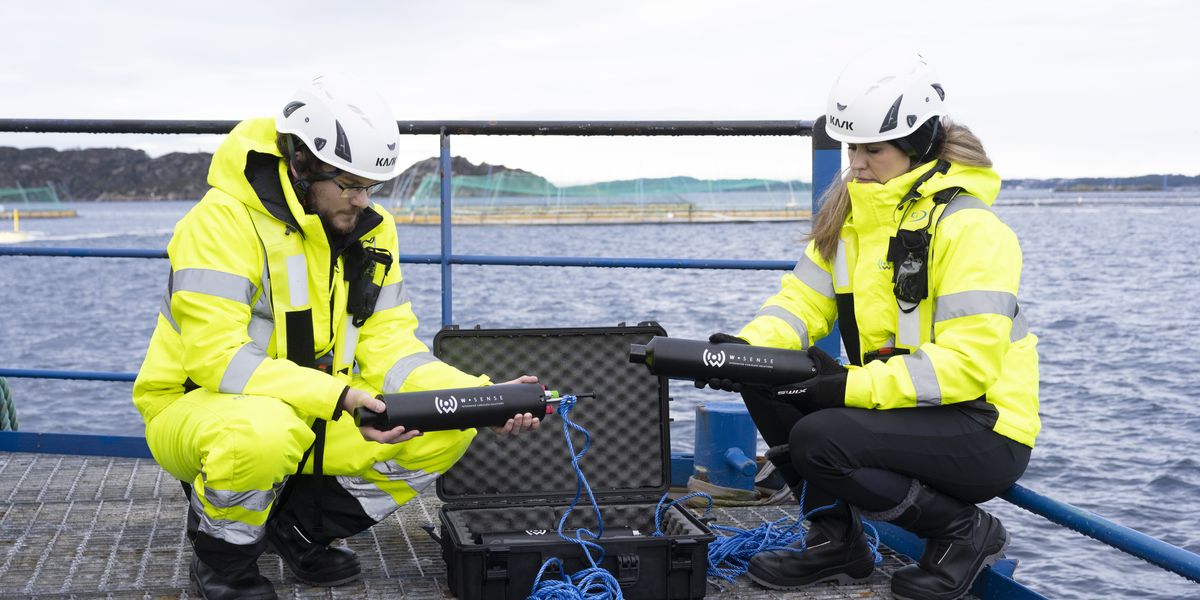 This startup is building the Internet for underwater things